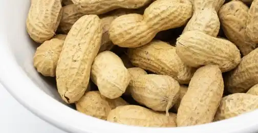 Luteolin Powder in Anti-Inflammatory Treatments